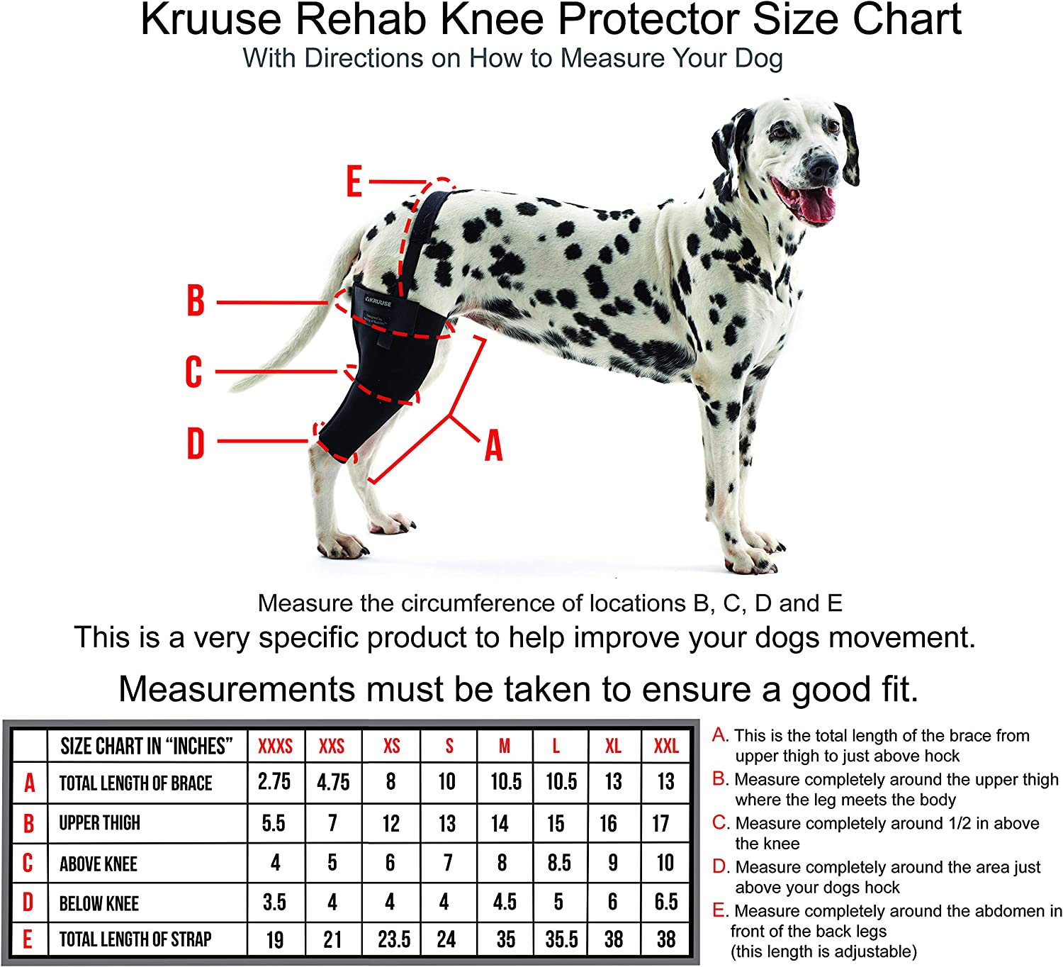 Rehab Knee Protector Right XX-Large - Veterinary Canine Wound Care & First Aid 