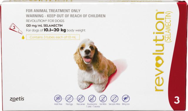 Revolution Dog 10.1-20KG 3 Pack - Dog Flea & Worm Treatments 