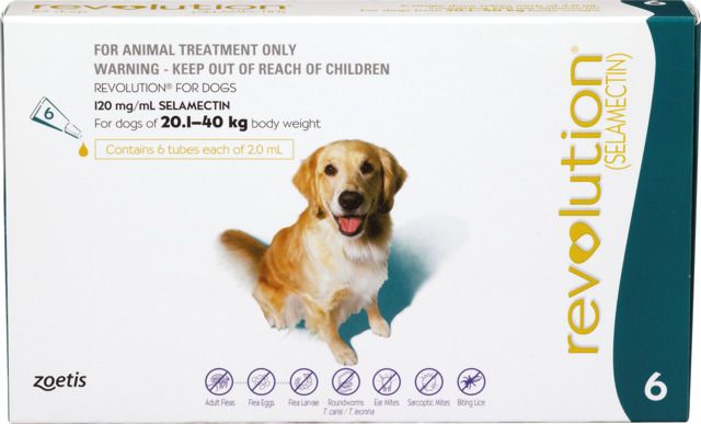 Revolution Dog 20.1-40KG 6 Pack - Dog Flea & Worm Treatments 