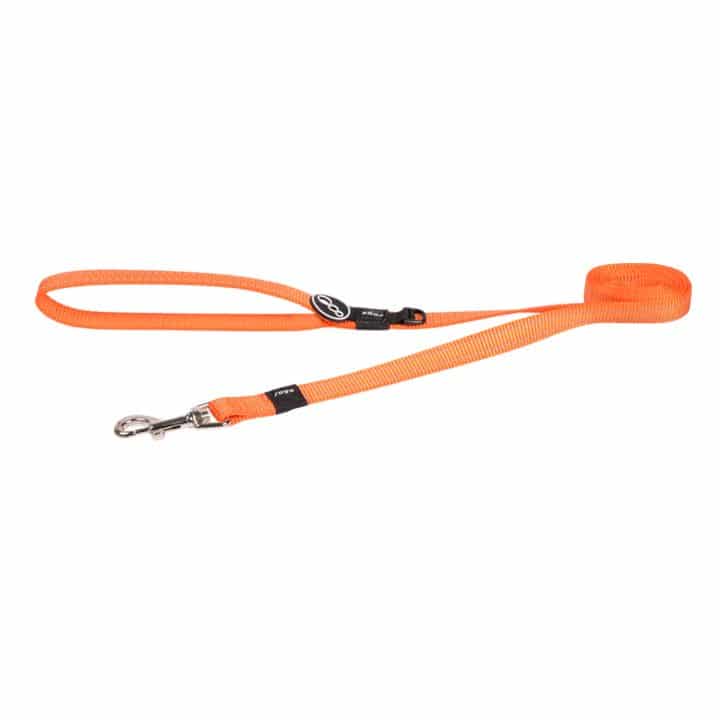 Rogz Nitelife Dog Lead Orange Small - Dog Collars, Leashes & Harnesses 
