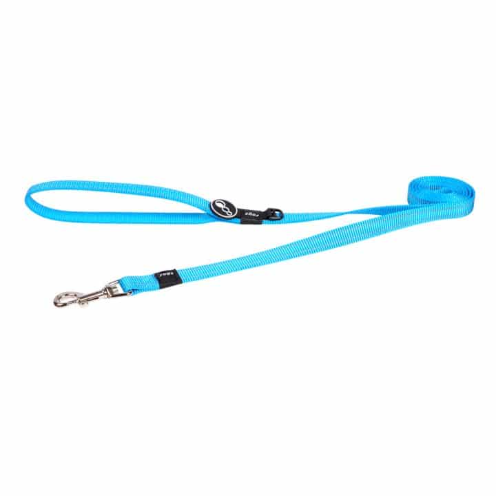 Rogz Nitelife Dog Lead Turquoise Small - Dog Collars, Leashes & Harnesses 