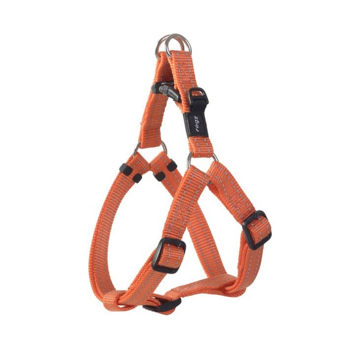 Rogz Nitelife Dog Step In Harness Orange Small - Dog Collars, Leashes & Harnesses 