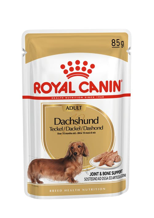 Royal Canin Dachshund Wet Adult Dog Food Pouch 85G 12 Pack - Dog Food 