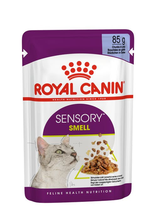 Royal Canin Sensory Smell Chunks in Jelly Cat Wet Food Pouch 85G 12 Pack - Cat Food 