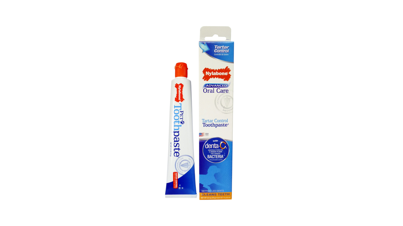 Nylabone Advanced Oral Care Toothpaste 70G