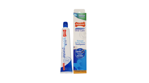 Nylabone Advanced Oral Care Natural Toothpaste 70G