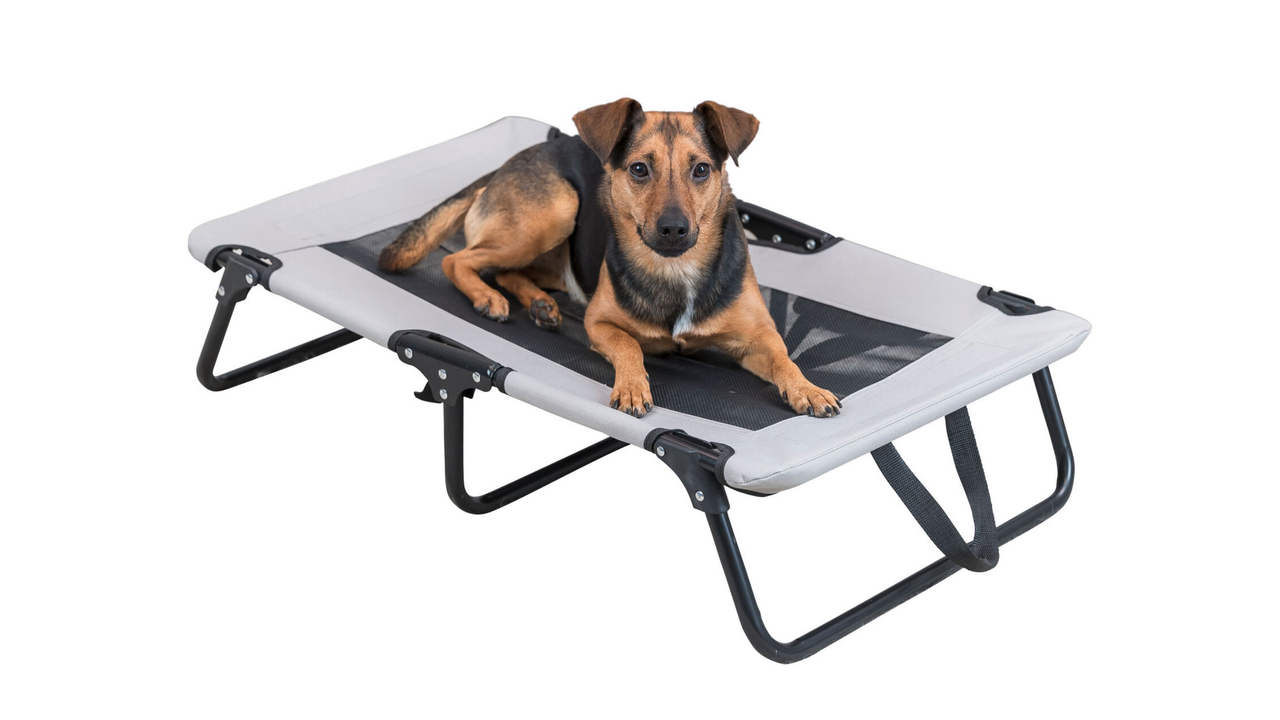 Dog Lounger 79x19x50cm Grey/Black