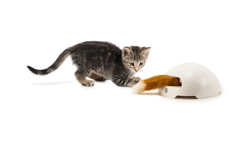 PetSafe FroliCat Dox Den Automatic Cat Teaser