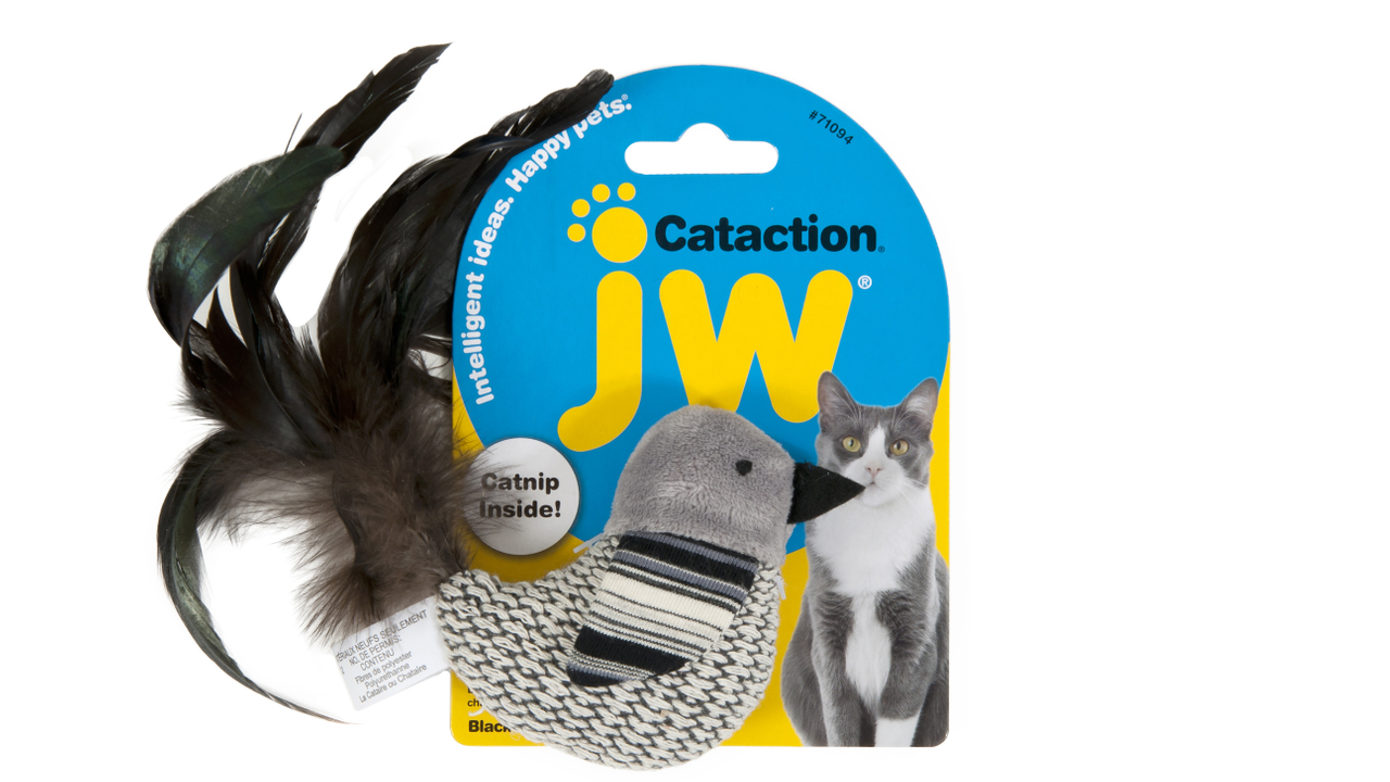 JW Cataction Black & White Bird