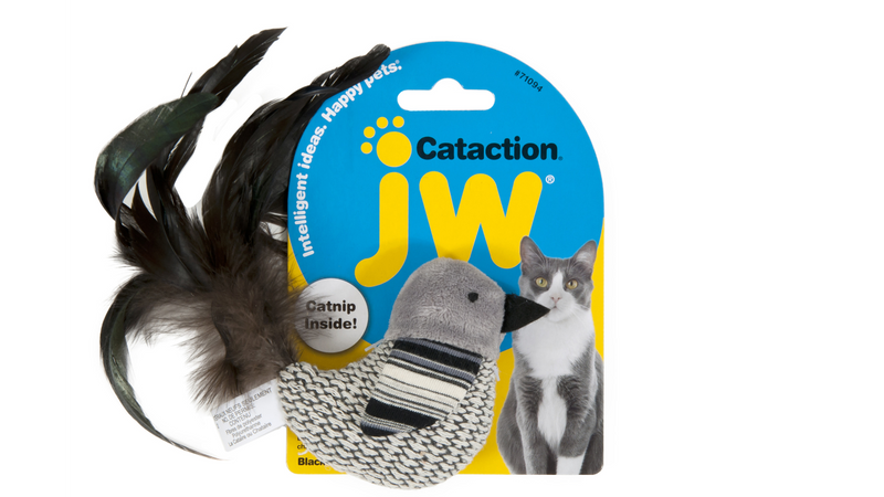 JW Cataction Black & White Bird