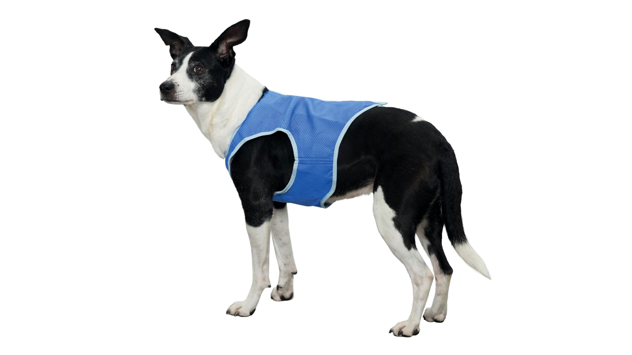 Trixie Cooling Vest X Small