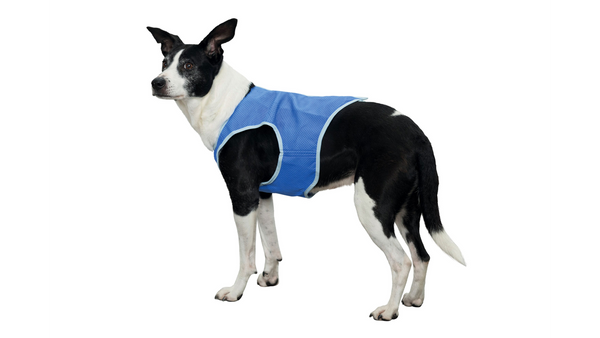 Trixie Cooling Vest X Small