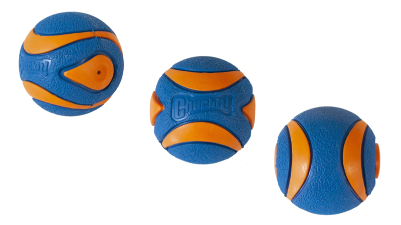 Chuckit ultra squeaker ball hot sale large