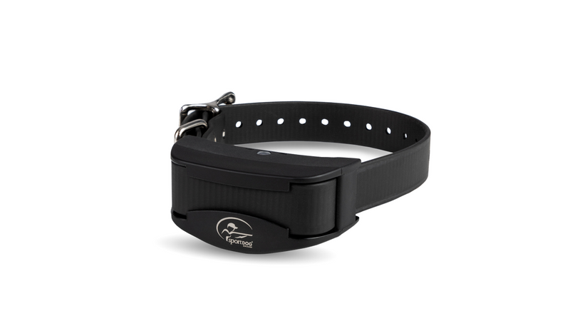 Sportdog in store ground fence collar