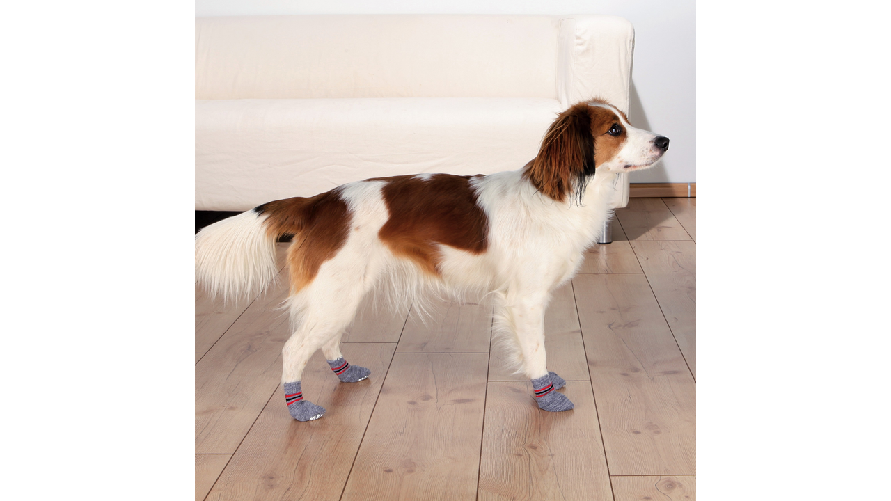 Trixie Dog Socks Non-slip 2 Pack - L