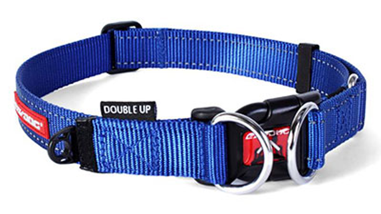 EzyDog Double Up Collar Blue