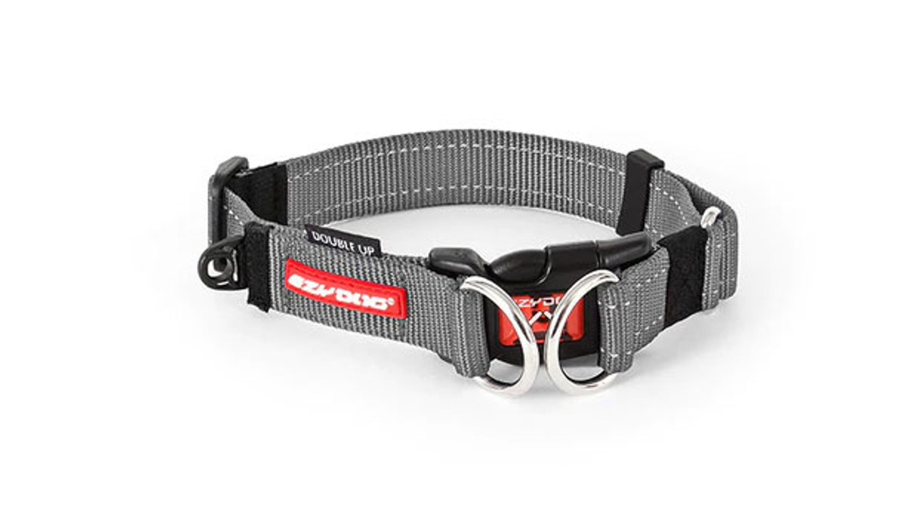 EzyDog Double Up Collar Grey