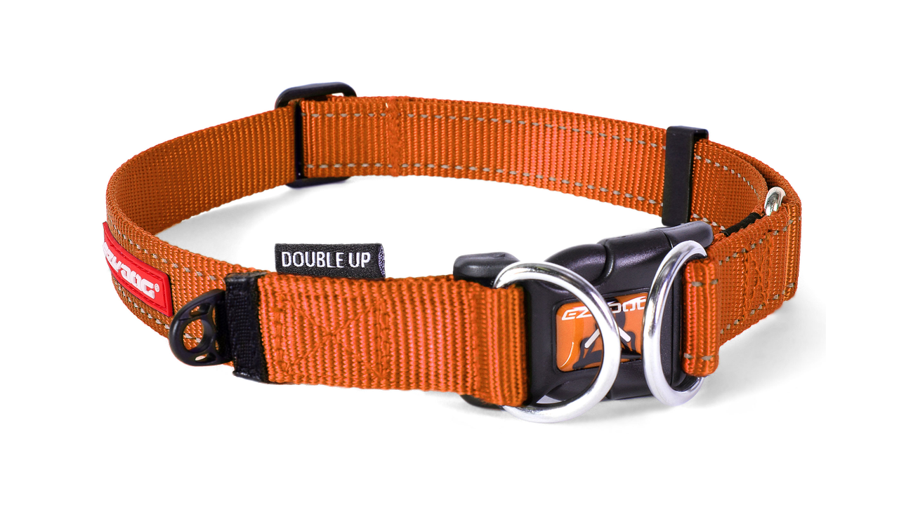 EzyDog Double Up Collar Orange