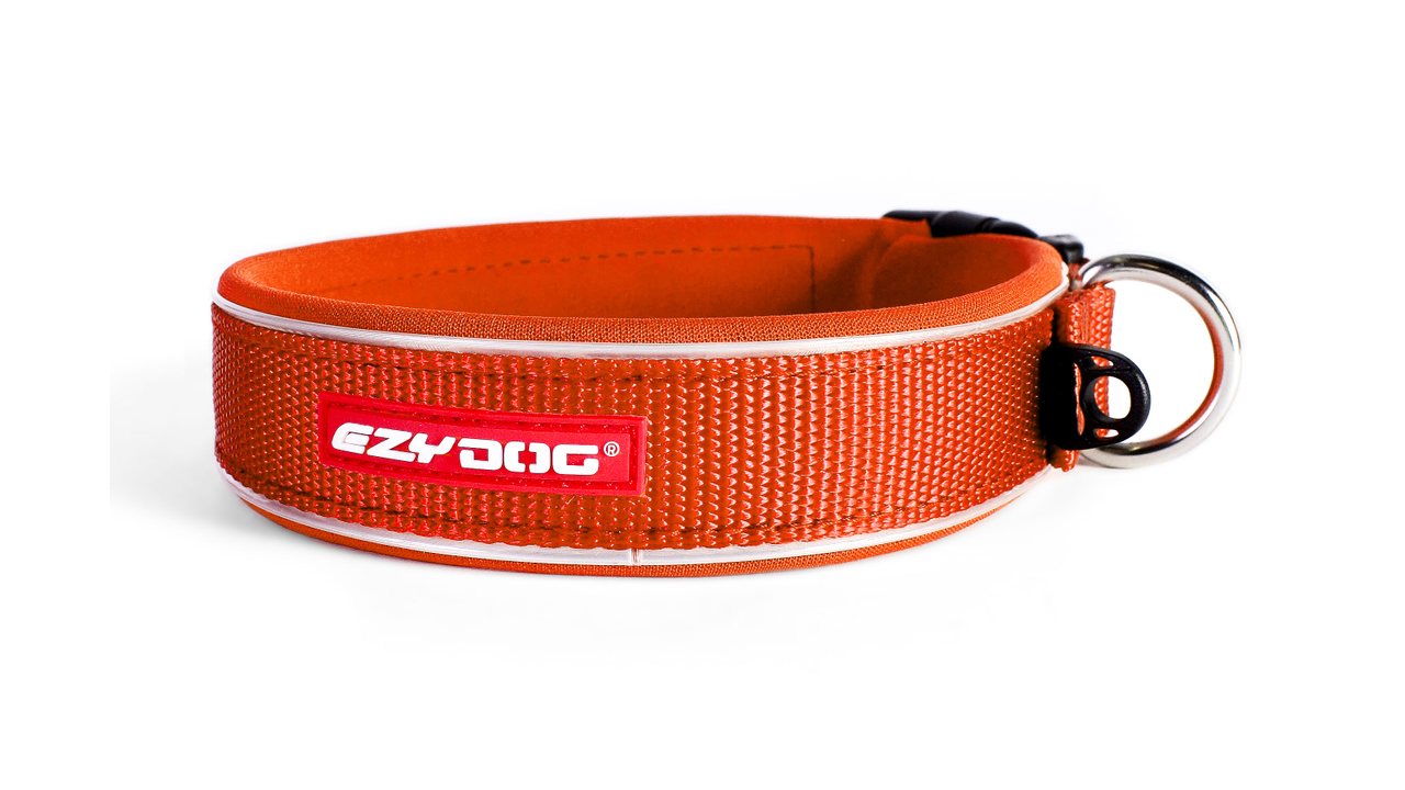 EzyDog Collar Neo Classic Orange