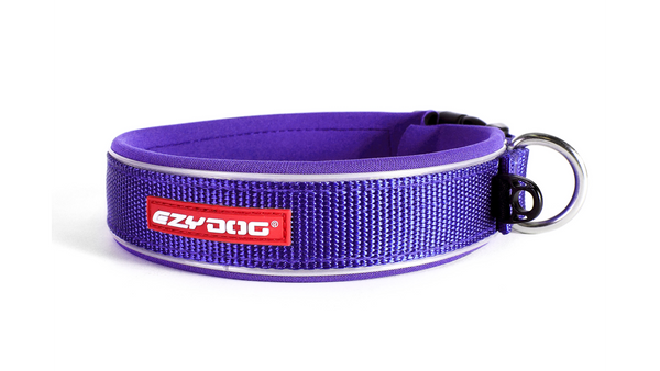 EzyDog Collar Neo Classic Purple