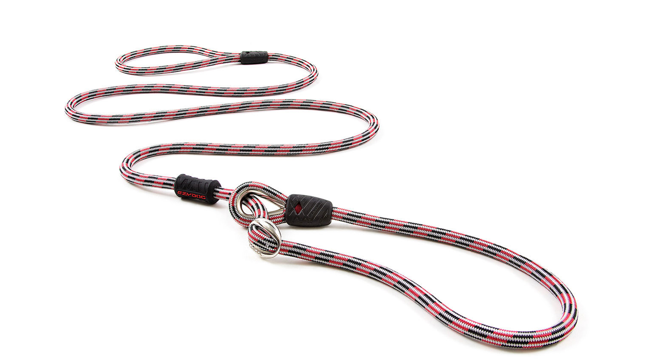 EzyDog Luca Slip Lead Red