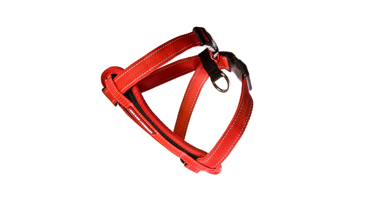 EzyDog Chest Plate Harness Red