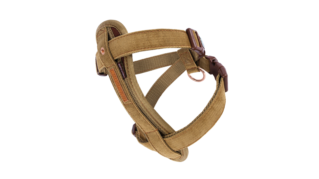 EzyDog Chest Plate Harness Corduroy