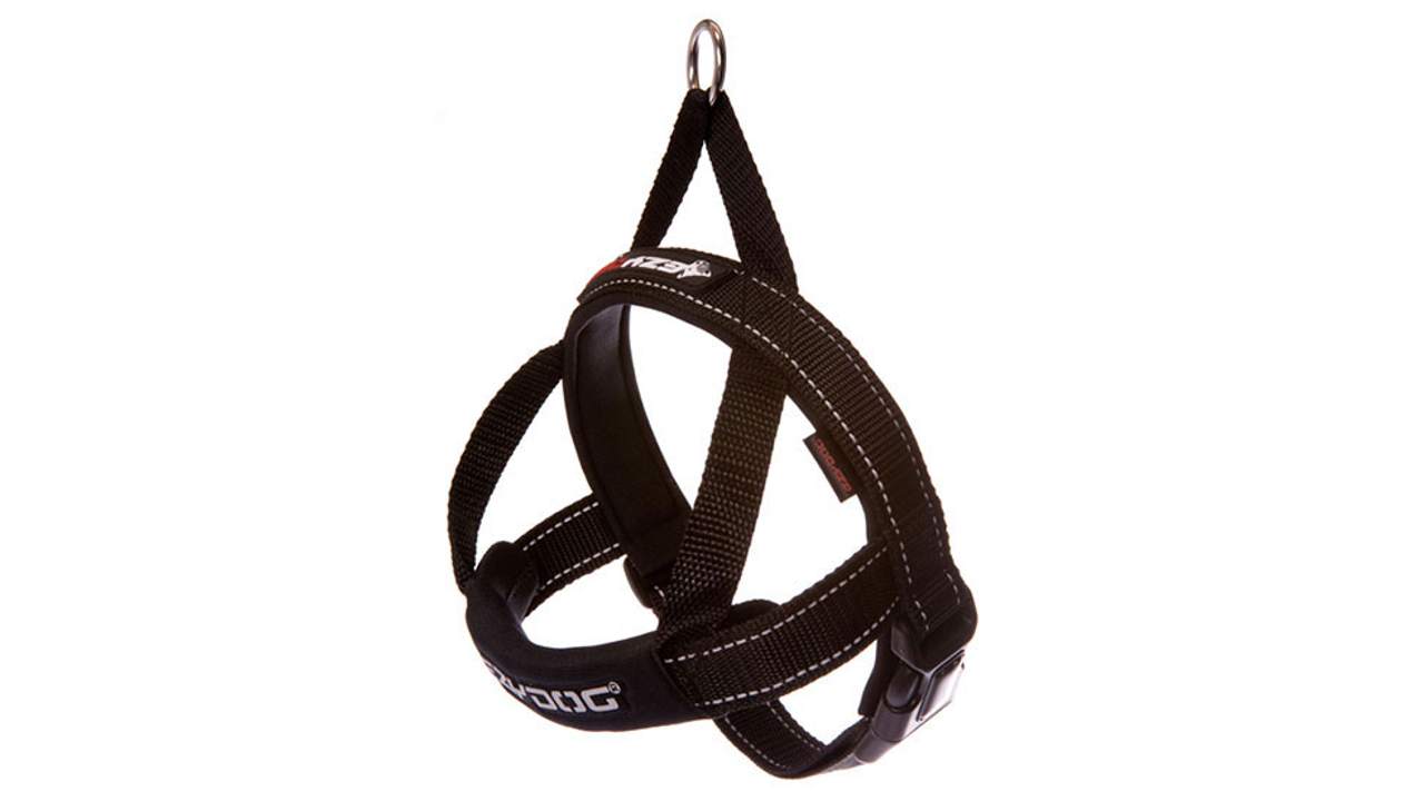 EzyDog Quick Fit Harness Black