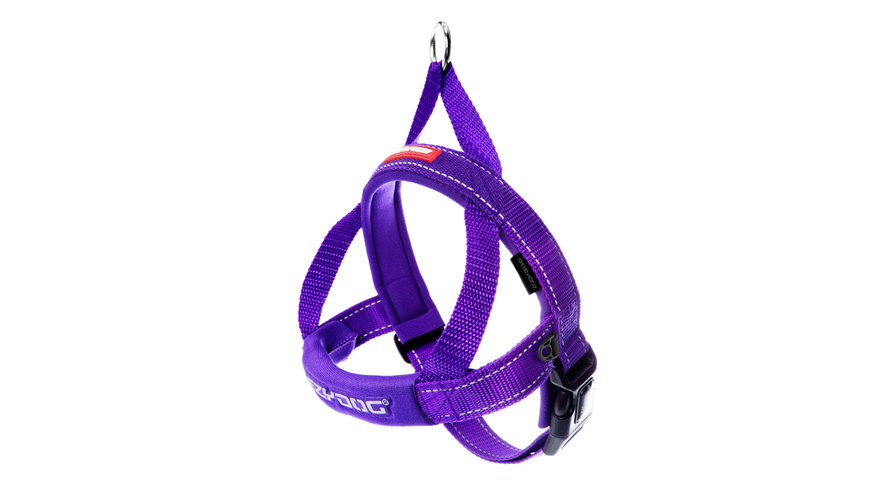 EzyDog Quick Fit Harness Purple