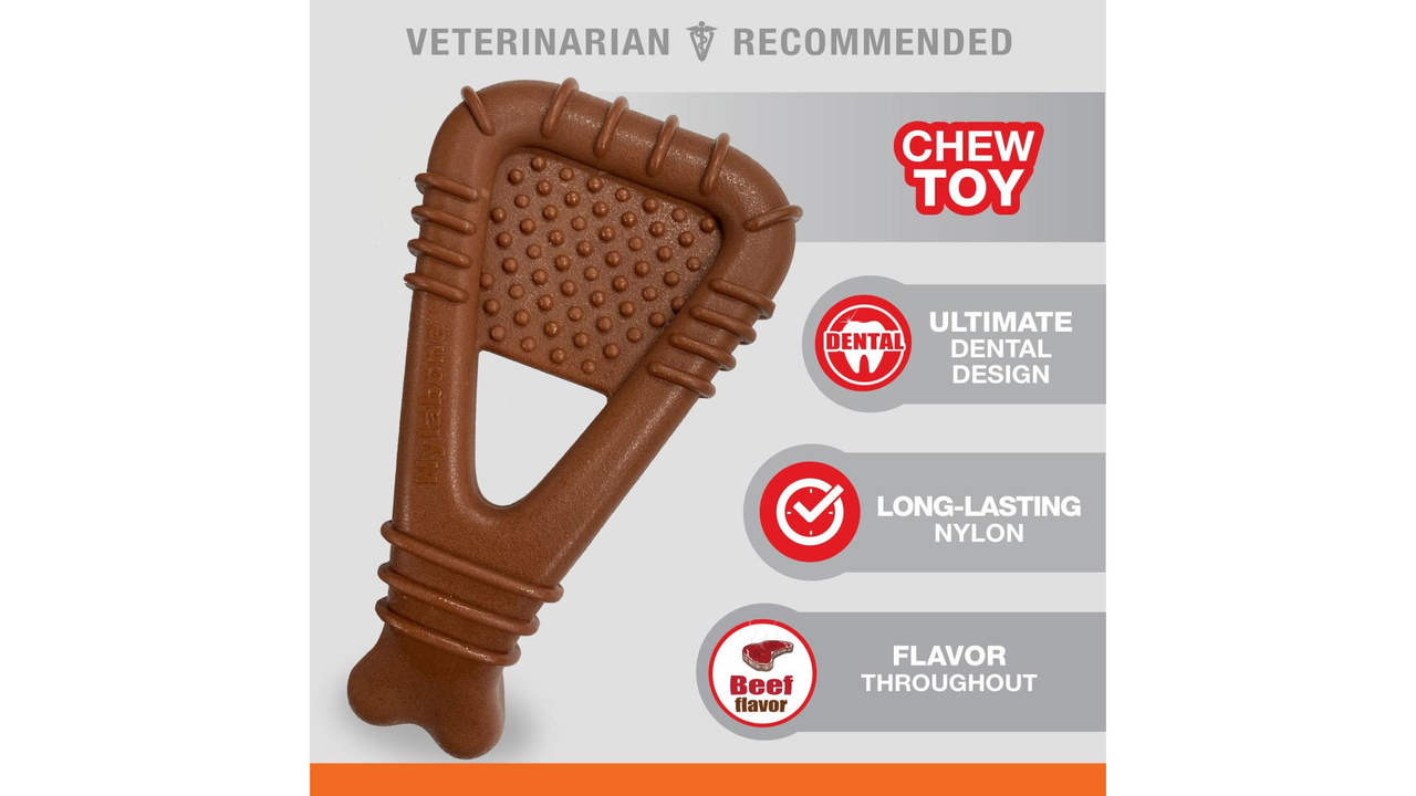 Nylabone Dental Arch Bone