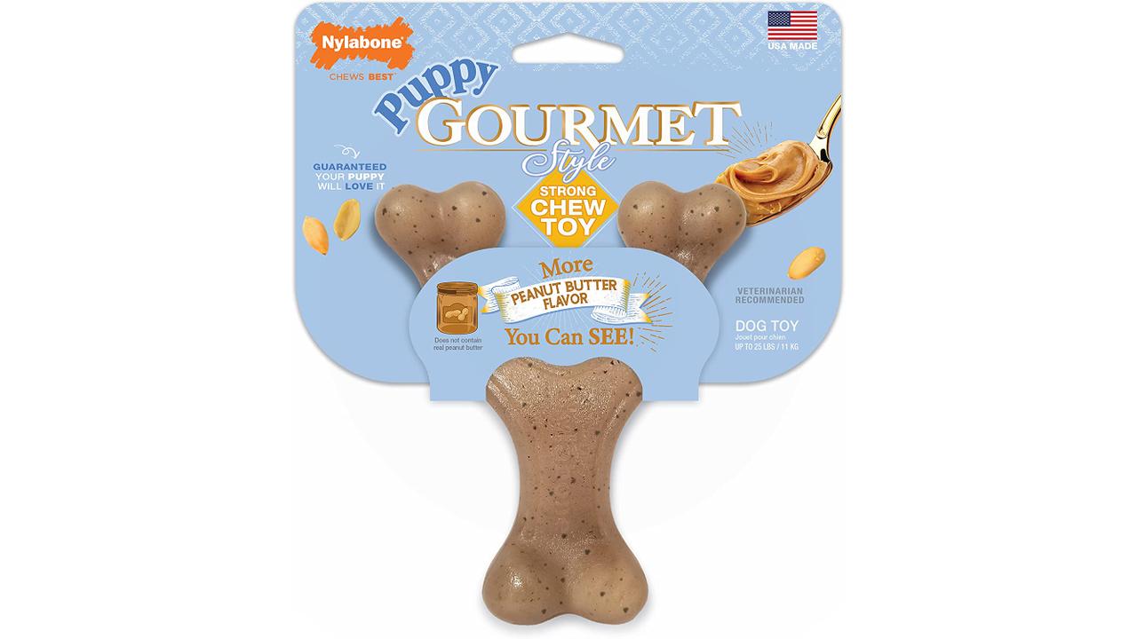 Nylabone Puppy Gourmet Strong Chew Wishbone