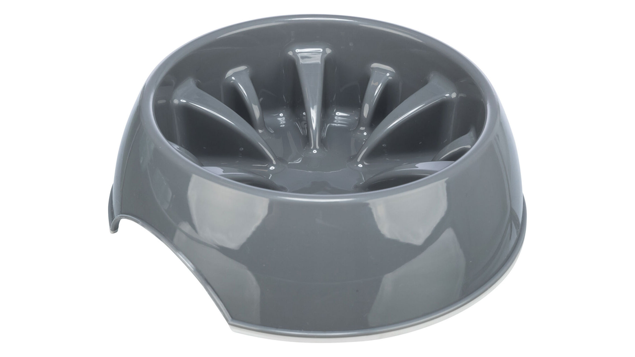 Slow Feed Plastic Bowl 800mL 20cm - Dog Bowls & Feeding Accessories 