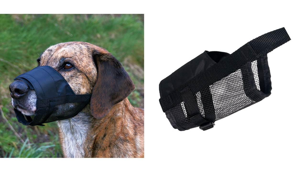 Trixie Nylon Muzzle Large - Dog Training 