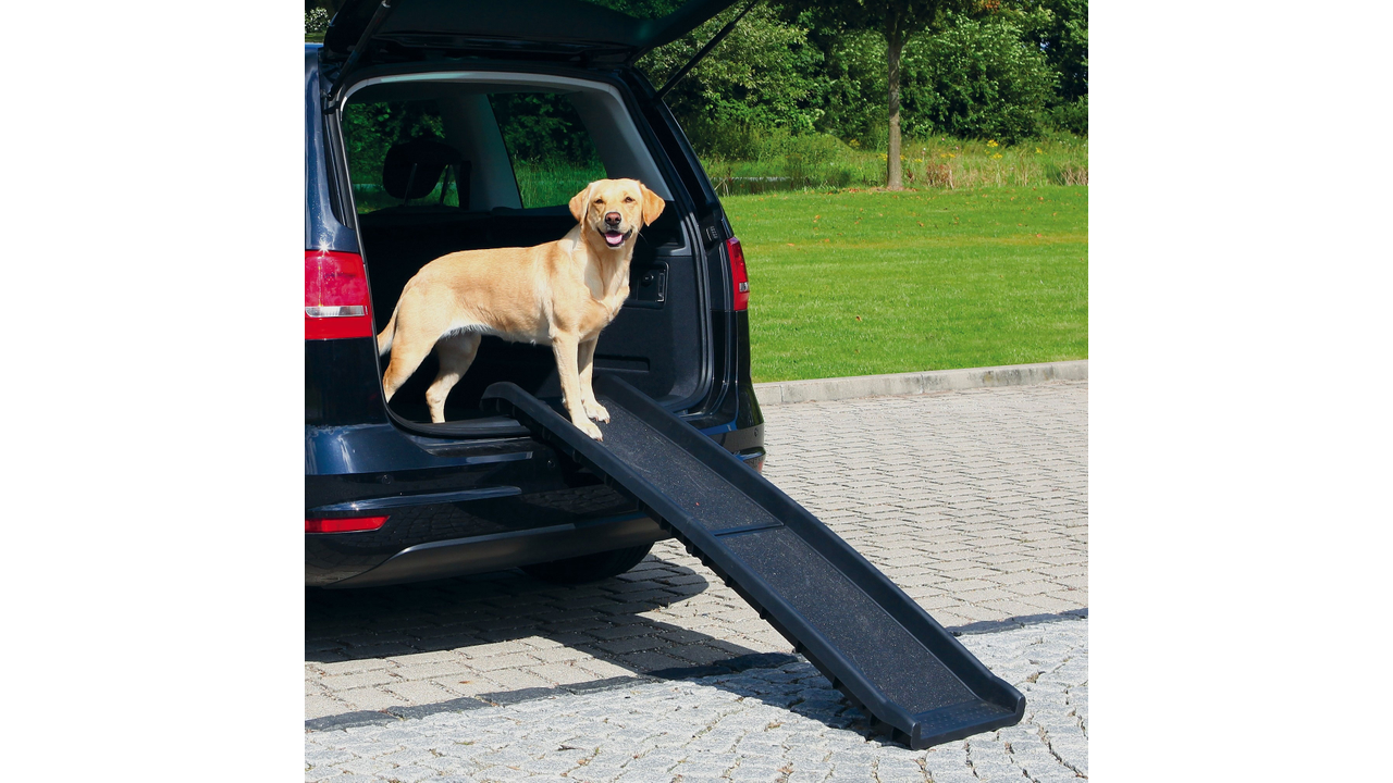 Trixie Petwalk Folding Ramp - Dog Travel 