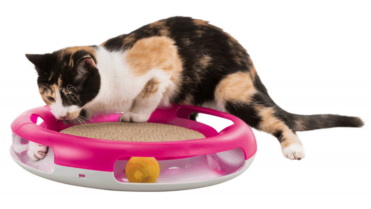 Trixie Race & Scratch 37cm - Cat Toys 