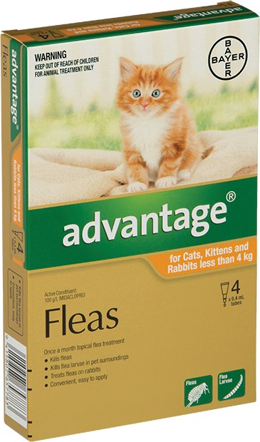 Advantage Cats & Rabbits Small 0-4KG 6 Pack