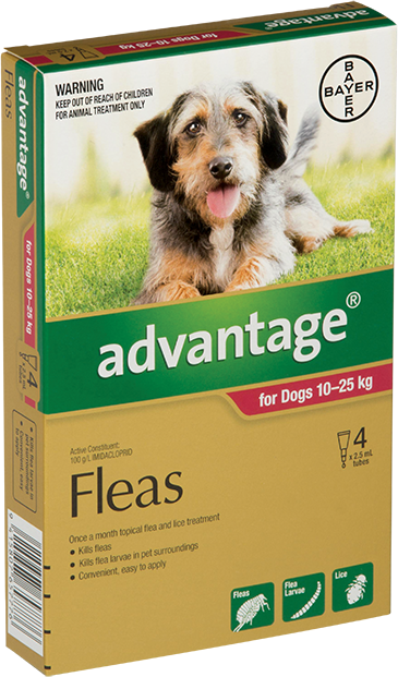 Advantage Dogs Large 10-25KG 4 Pack