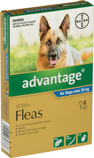 Advantage Dogs X-Large Over 25KG+ 4 Pack