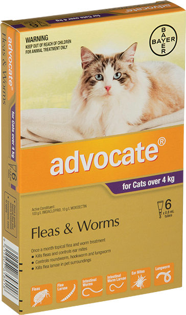 Advocate For Large Cats 4KG+ 6 Pack