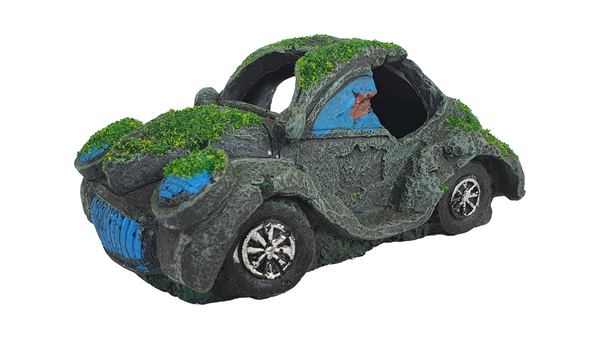VW Beetle with Moss