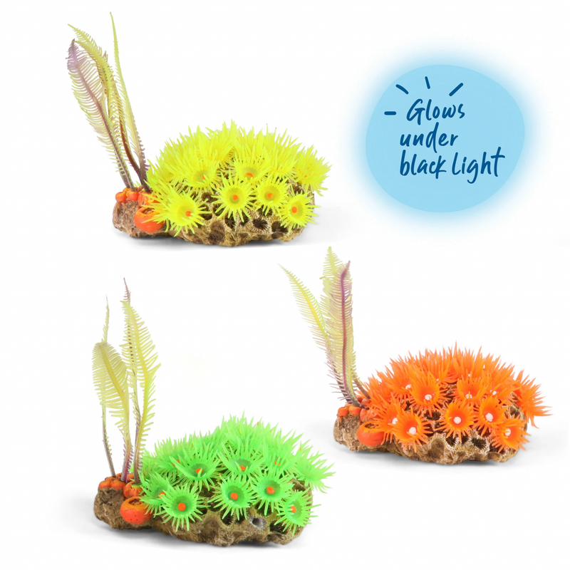 Kazoo Soft Coral With Ferns Medium