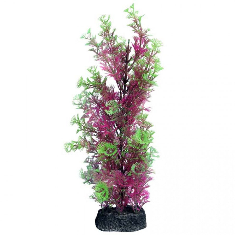 Aqua One Ecoscape Large Cabomba Pink Planter