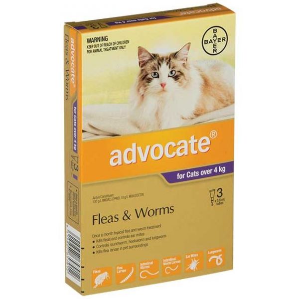 Advocate Cat Large 4KG+ 3 Pack