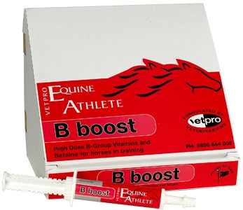 VetPro B-Boost Paste Single