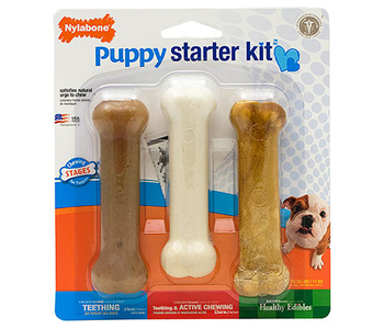 Nylabone Puppy Starter Kit