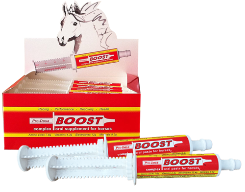 Pro-Dosa Boost Paste Syringe 80ml Single