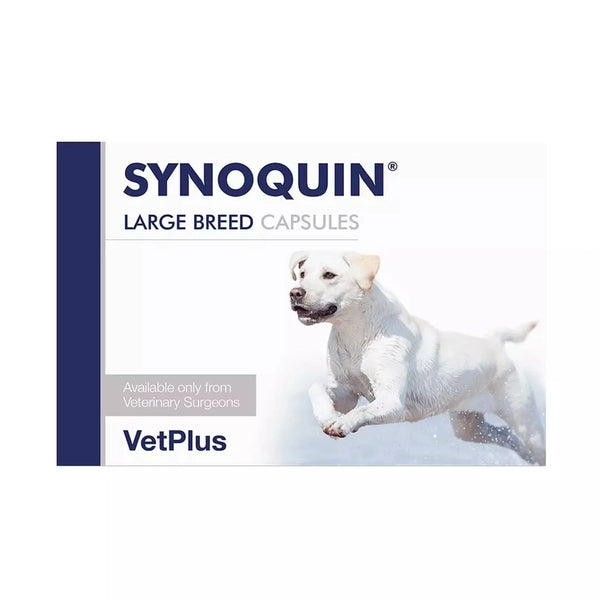 Synoquin Large Dog Capsules 30 Pack