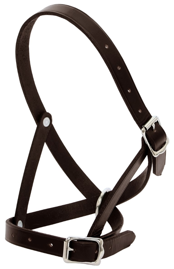 Blue Tag Leather Tethering Calf Halter