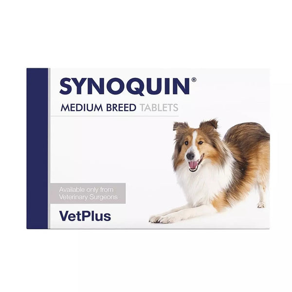 Synoquin Medium Dog Tablets 30 Pack