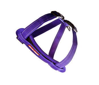 EzyDog Chest Plate Harness Purple